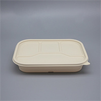 Food container  4 gird 1000 ml
